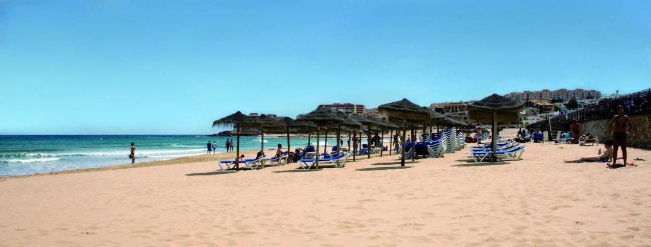 Homely Apartments Playa De Los Locos Torrevieja Eksteriør bilde