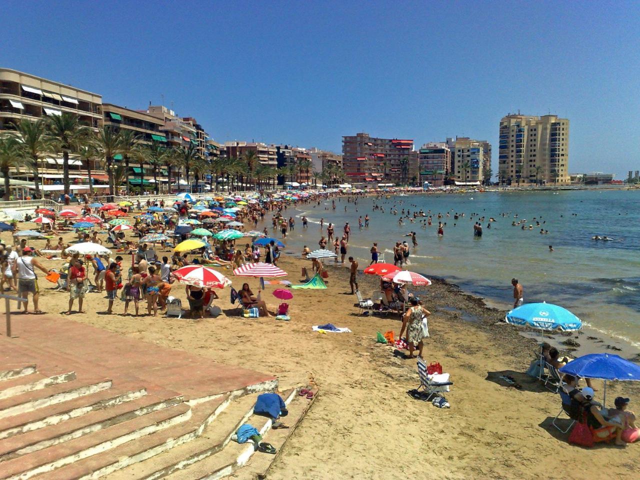Homely Apartments Playa De Los Locos Torrevieja Eksteriør bilde